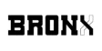 Brx by Bronx